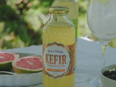 Datos sobre el kéfir