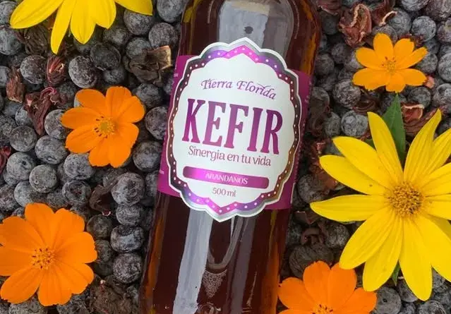El kefir mejora el funcionamiento del hígado
