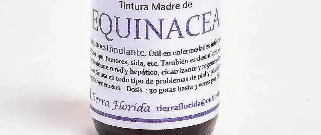 Tintura Madre Artritis Artrosis