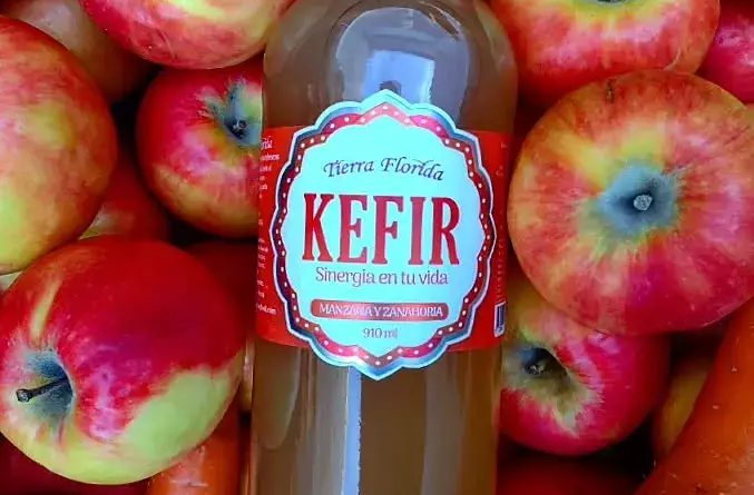 propiedades del kefir de agua