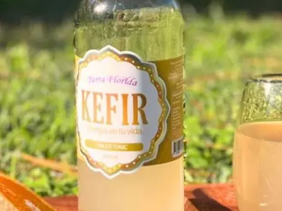 Bebida natural fermentada y probiótica