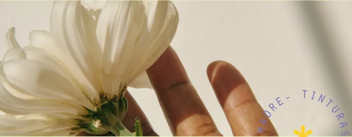 Tintura madre adelgazante