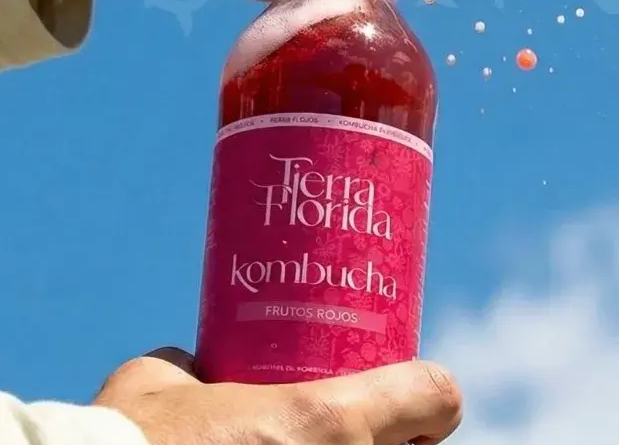 ¿Que es la kombucha?