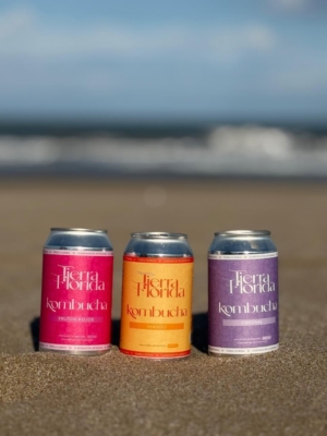 Kombucha pack 6 latas chicas (454cc)