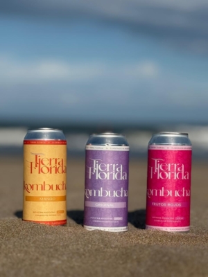 Kombucha pack 8 latas grandes (473cc). - Imagen 1