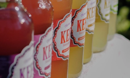 Cajas de botellas de kéfir Tierra Florida listas para distribución mayorista a dietéticas y comercios saludables.